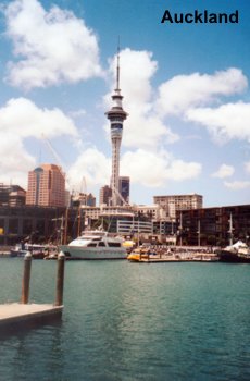 auckland.jpg